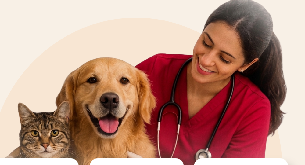 Veterinaria de Grandes Mascotas junto a un perro y un gato